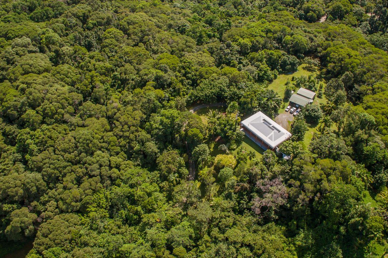 Daintree Manor B&B Esterno foto