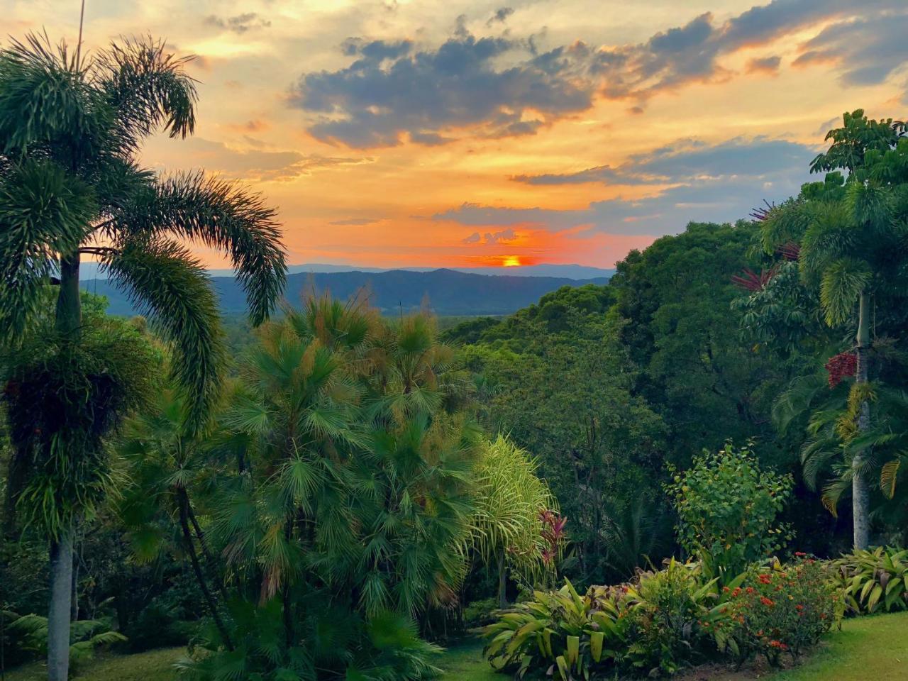 Daintree Manor B&B Esterno foto
