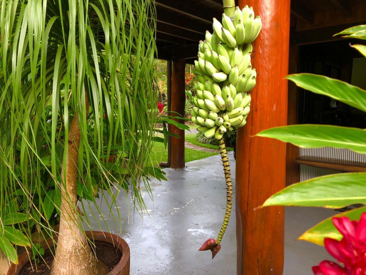 Daintree Manor B&B Esterno foto