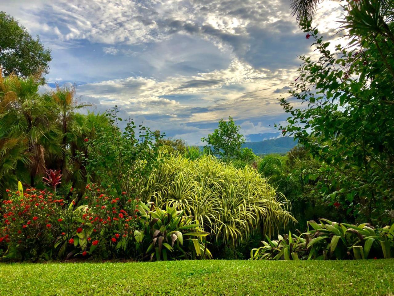 Daintree Manor B&B Esterno foto