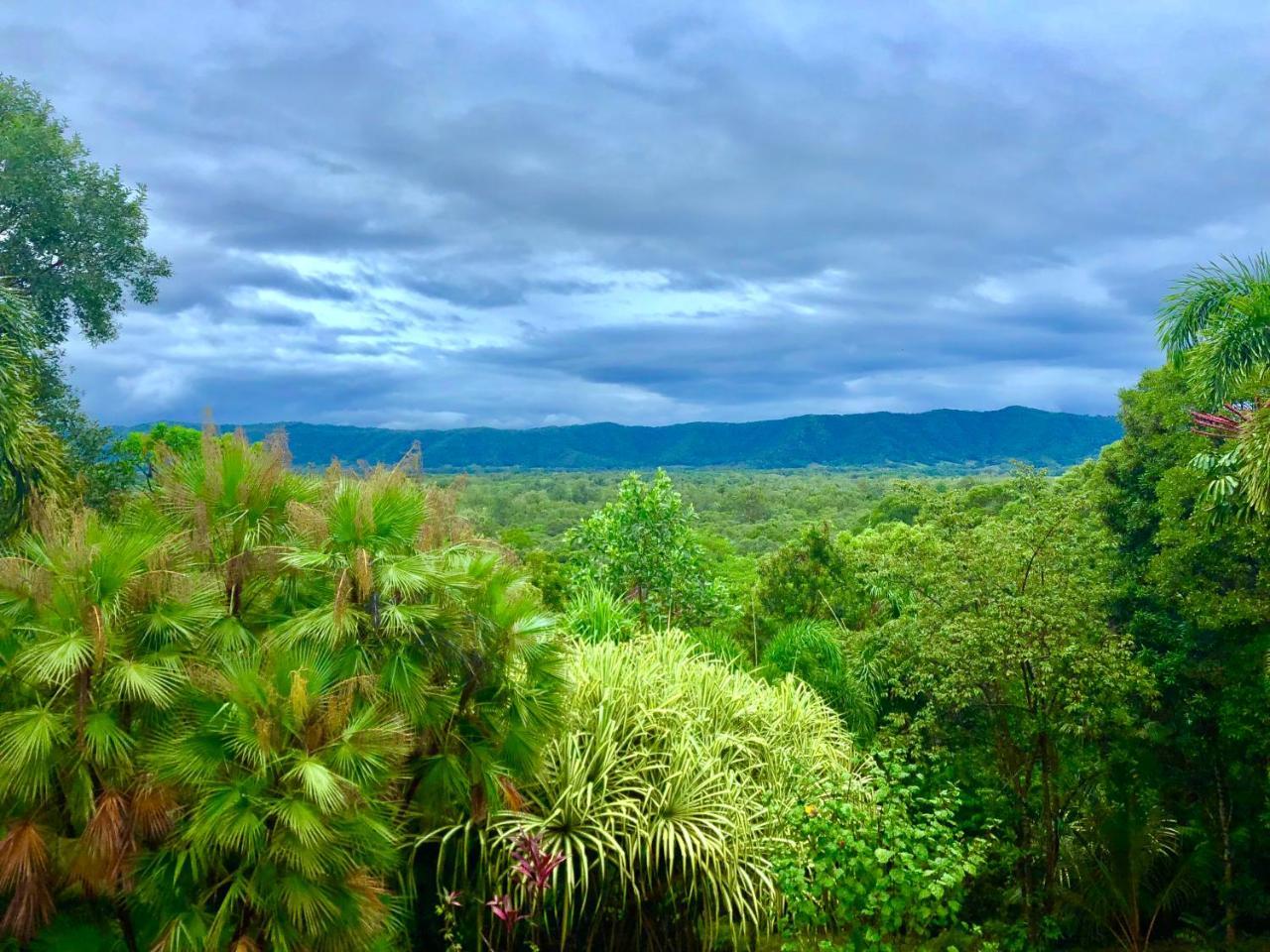 Daintree Manor B&B Esterno foto